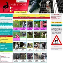 veterinar-vyskov-odkaz-chrti-v-nouzi.jpg